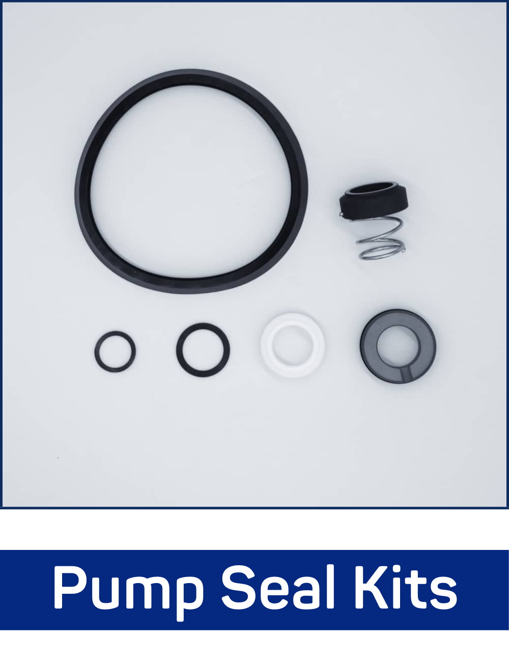 Pump Seal Kits