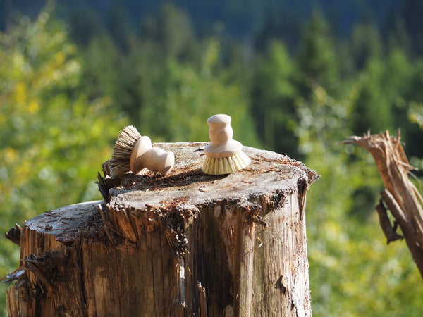 Topf- und Pfannenbürste mit Holzgriff von Waldkraft
