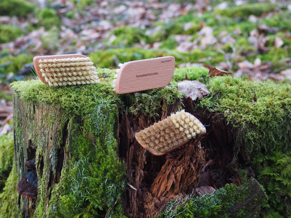 Waldkraft - Sneakerbürste aus Holz mit hellen Borsten