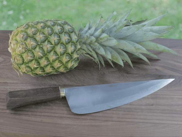 Authentic Blades - Küchenmesser mit polierter Klinge - VAY 23cm