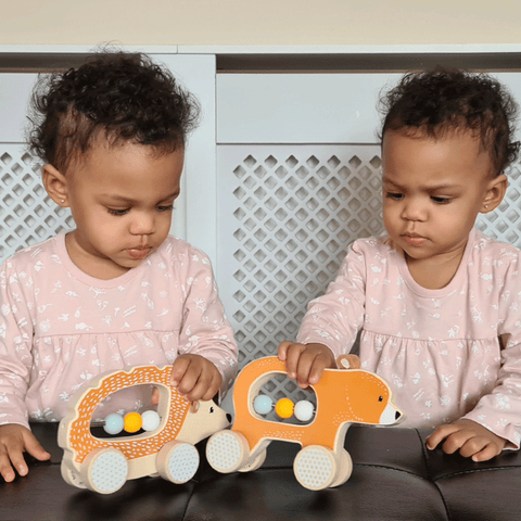 Twins playing with Push Along Hedgehog baby toy