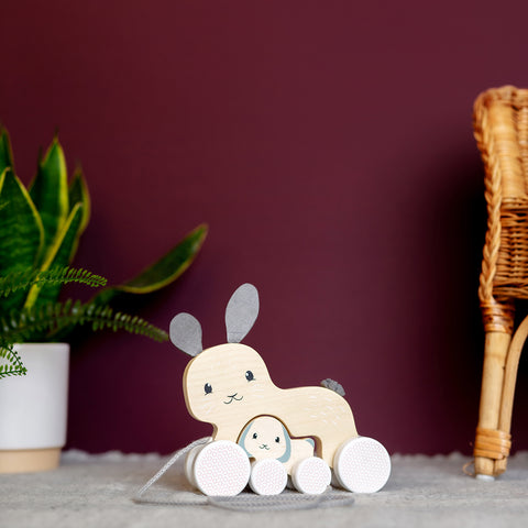 Easter toys: Pull Along Bunny & Baby toy