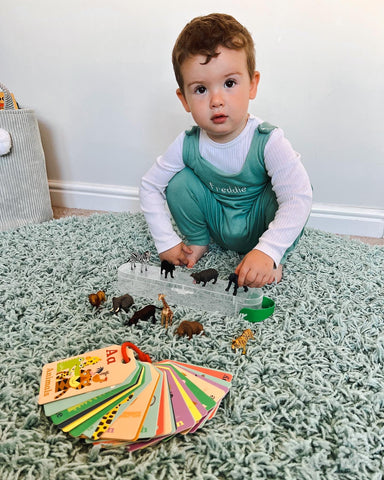 Toddler playing with CollectA toy animal figures and flashcards