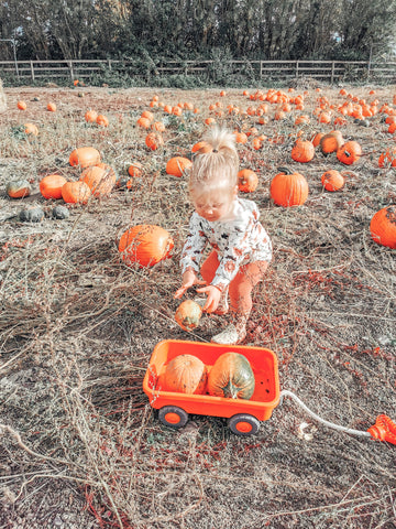 Girl picking pumpkins with Green Toys Orange Wagon