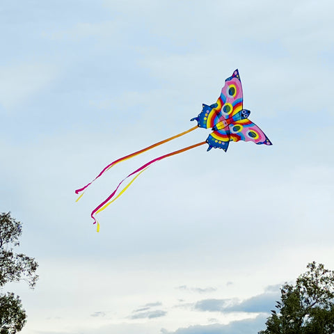 Tiger Tribe Butterfly Kite flying in the sky