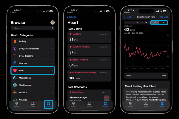 iPhone Heart Rate Data in Health App