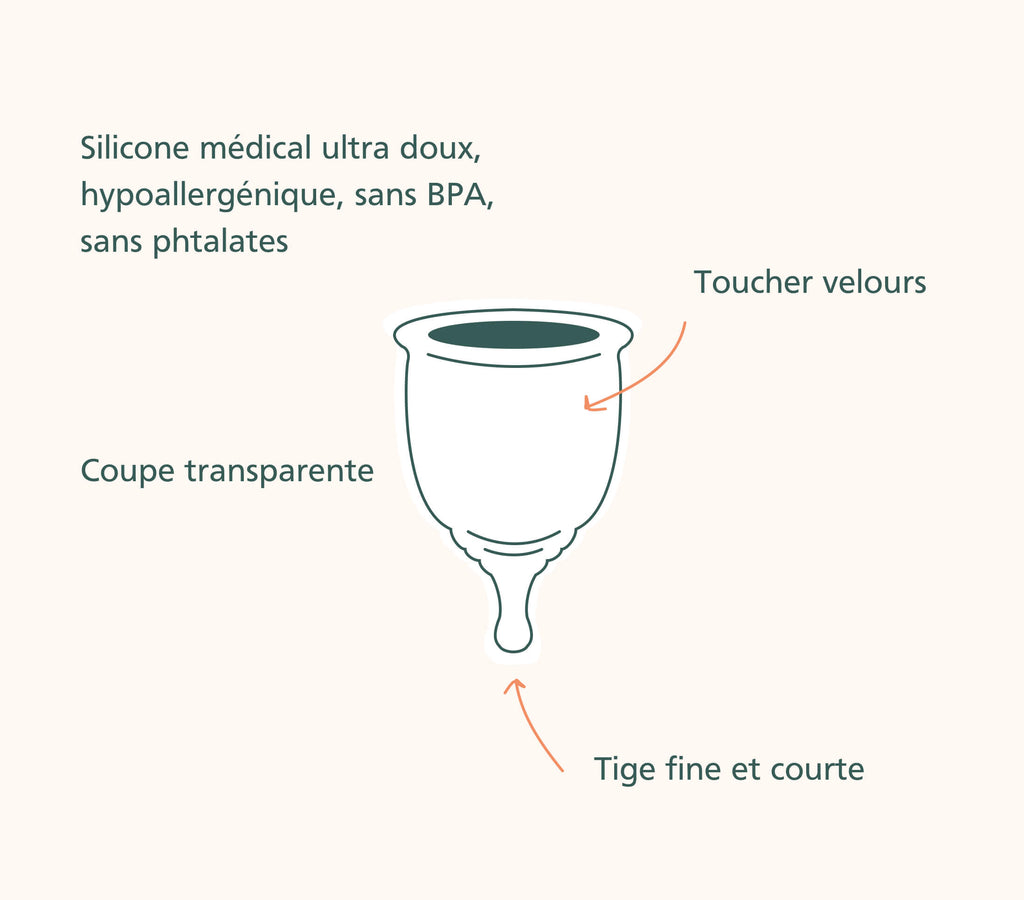 schéma de la coupe menstruelle avec la tige et le réservoir