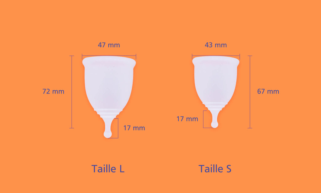 dimension et taille des deux coupes menstruelles S et L