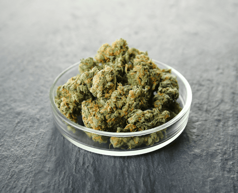 HHC Wirkungsweise und Erfahrungen von Cannabis-Konsumenten