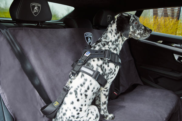 Lamborghini Urus Pet Seat Belt – Grange Shop