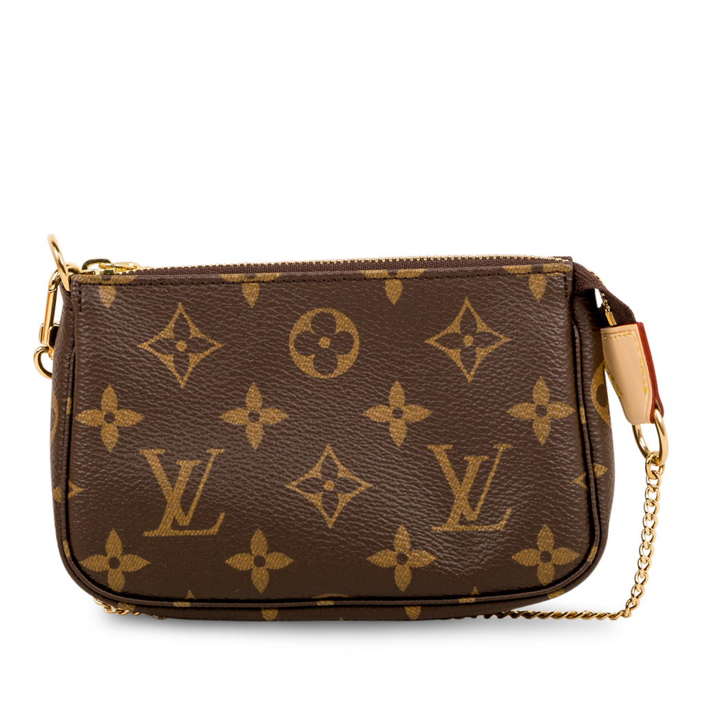 Louis Vuitton Damier Ebene Canvas Mini Pochette Accessoires N58009: Buy  Online at Low Prices in India 