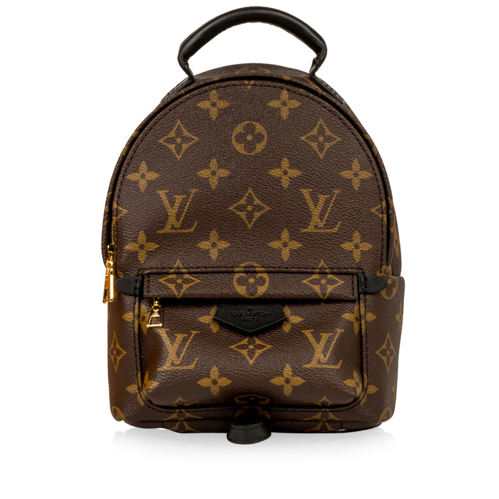 Louis Vuitton Palm Springs Backpack Mini M42411