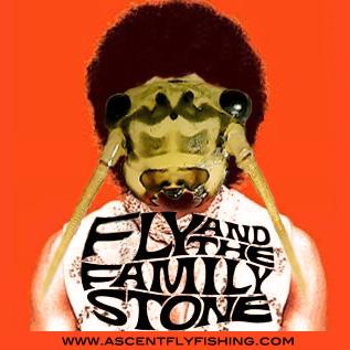 fly and the family stone.jpg