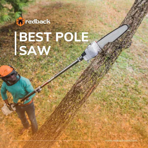 Photo of pole saw in action.
