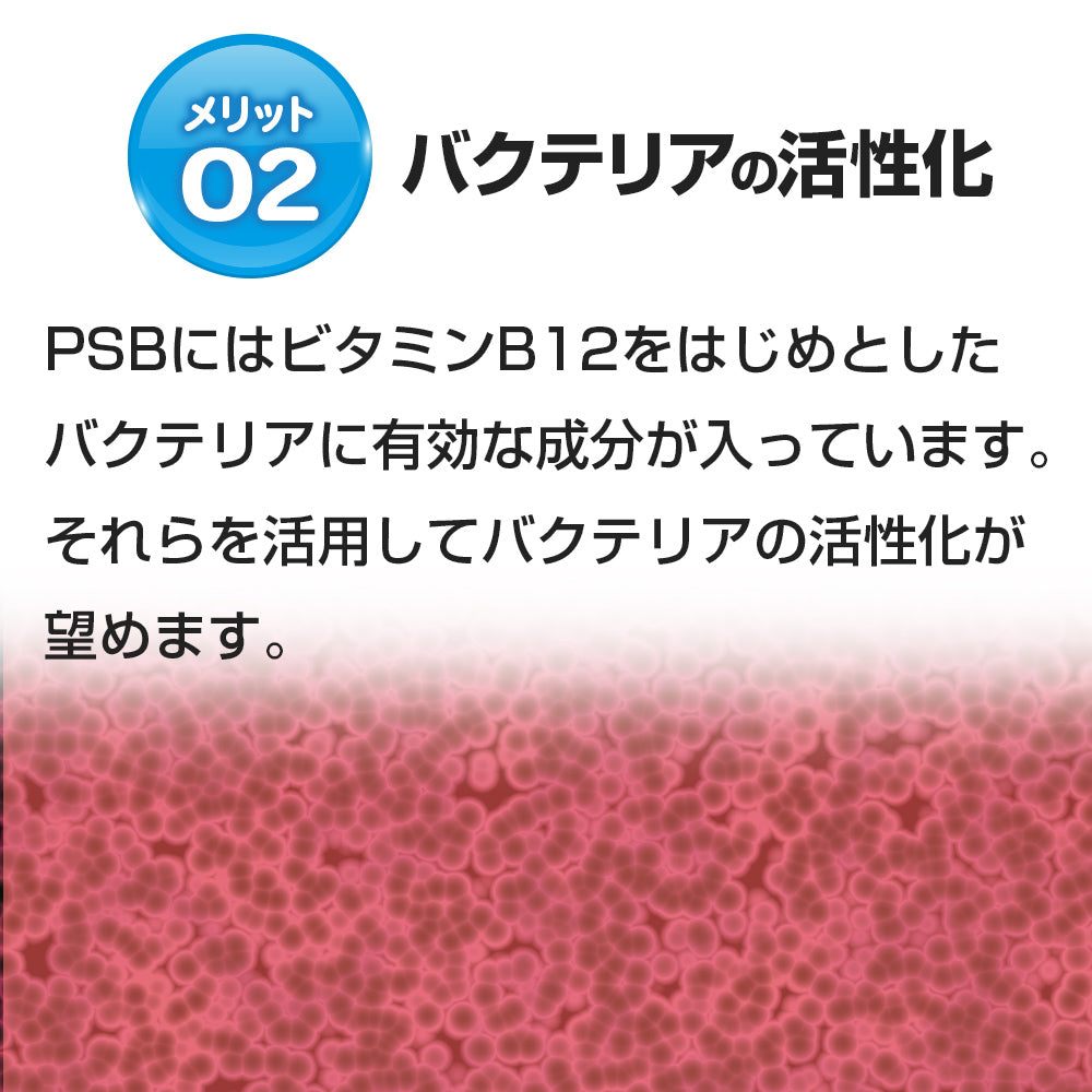 超濃縮 PSB 光合成細菌 メダカ ミジンコ 餌 (300ml) - 水質管理