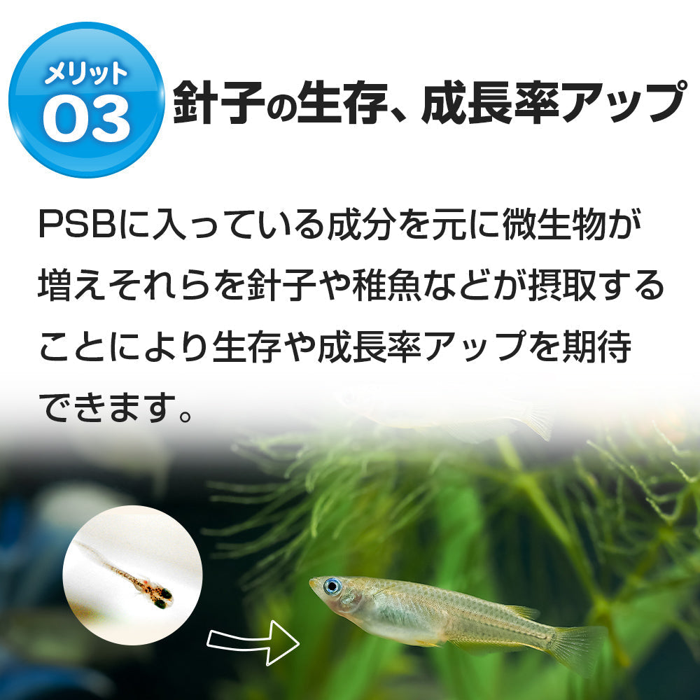 300g めだかエサえさPSB クロレラ青水j - 魚のエサ