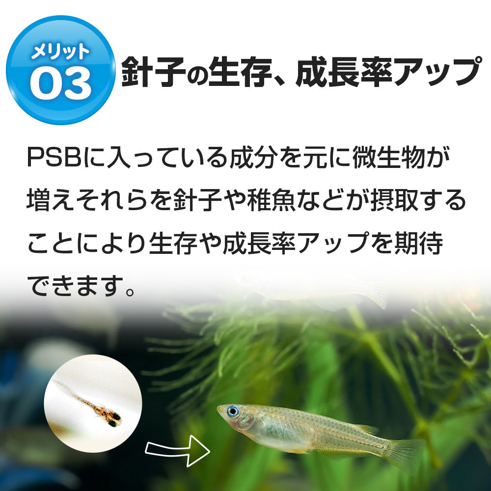 送料無料 特濃psb 光合成細菌 600ml メダカの餌 稚魚のエサ 送料無料 活餌 金魚 ゾウリムシ ミジンコ Psb ワムシ インフゾ めだか の箱庭