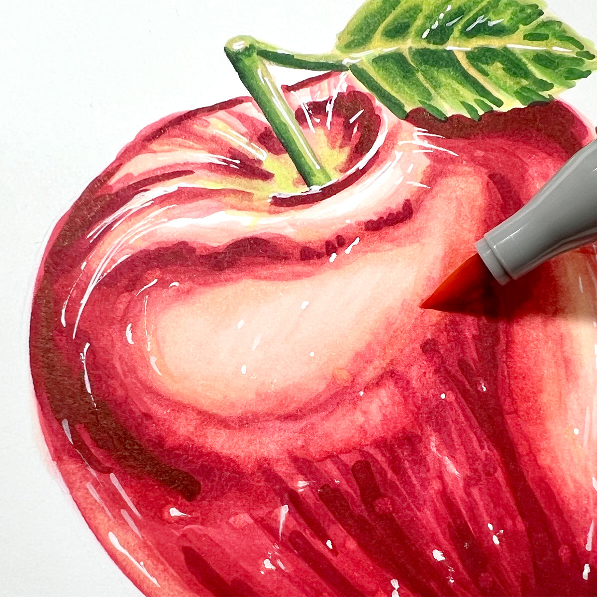 How to Blend with Ohuhu Markers - Step by Step, Alcohol Marker Tutorial