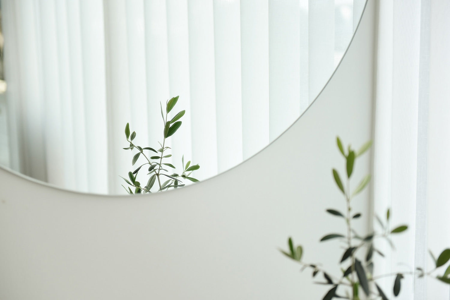 Round Frameless Mirror with small green plant reflection