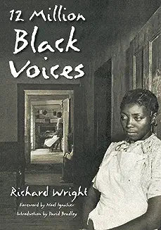 12 Million Black Voices - Black Books Wholesale 