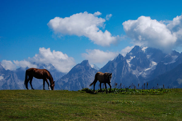 Tien Shan mountains