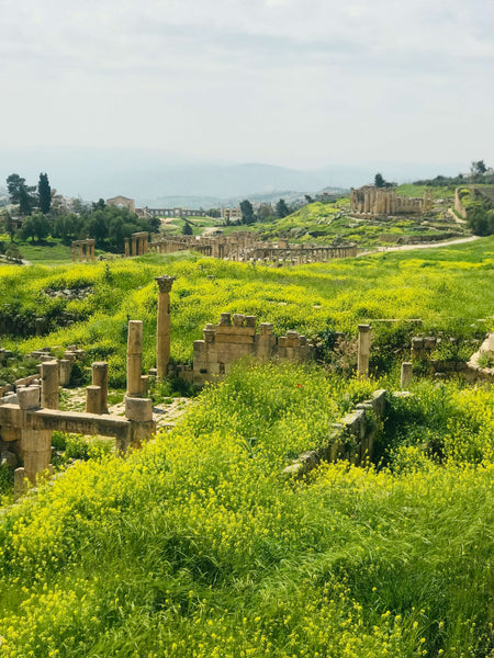 Jarash city in Jordan. Known for ruins of walled Greco Roman settlement. Jordan.