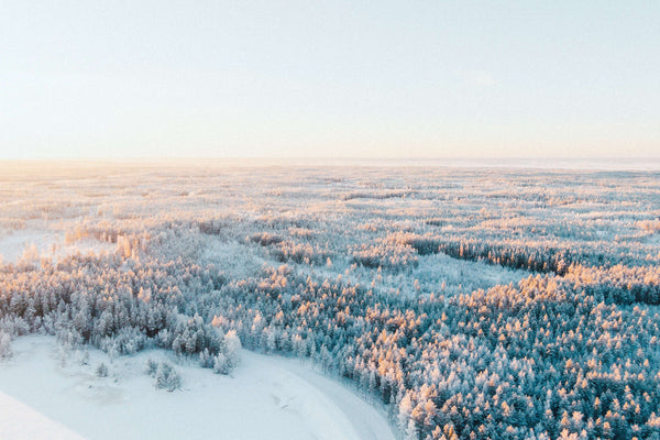 Finnish countryside in Winter