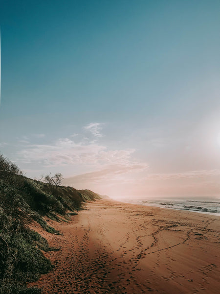 Durban Beaches South Africa