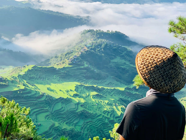 Maligcong in Bontoc highlands, rice terraces, mount Kupapey