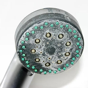 Scaled shower head from hard water.