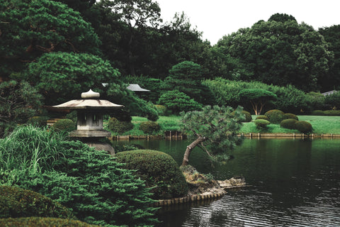ORIFUSI オリフシ 和ハーブコスメ 日本庭園