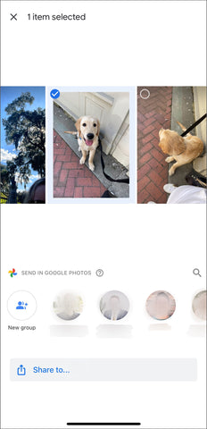 Google Photos will then give you the option to share your images with your Google contacts (this will allow them to save the image to their drive)