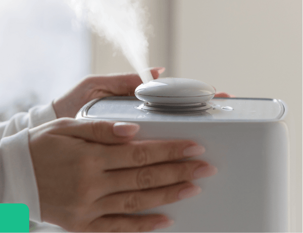 Consider Using a Dehumidifier or Humidifier