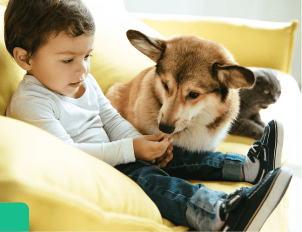 Keep Film Away from Pets and Children