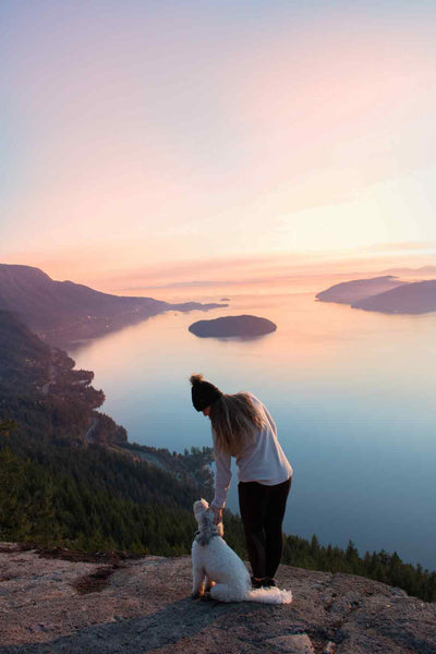 owner pets dog while overlooking an ocean view at sunset