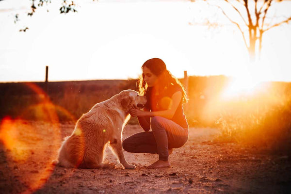 human pets her dog during sunset