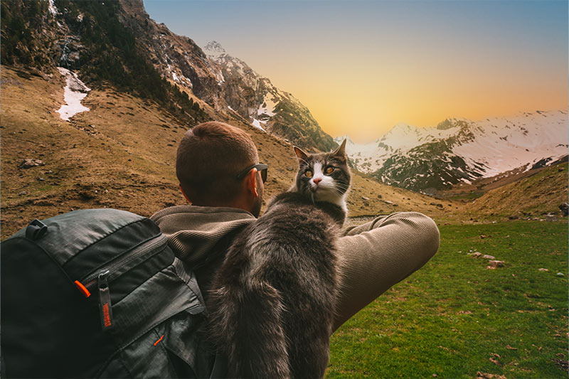 man hiking with a cat