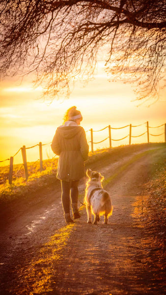 human walks dog on dirt trail during golden hour