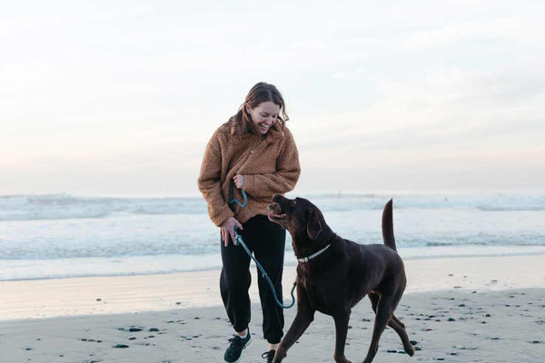 human runs along dog on the beach