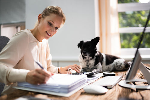 woman budgeting with dog