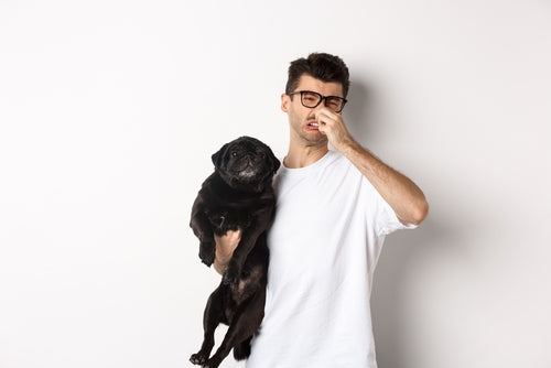 human plugging nose from dog smell