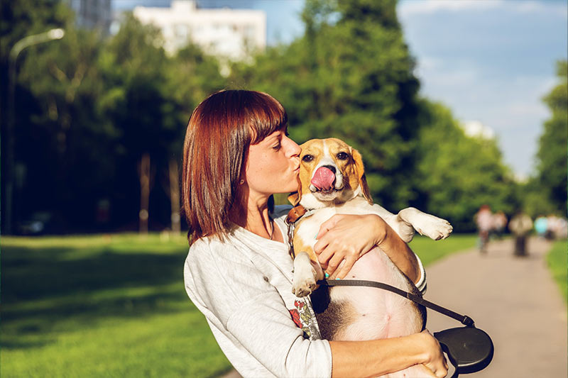 woman holding her beagle and kissing it on the head