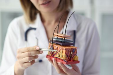 Close-up of female dermatologist holding artificial model of human skin with hair