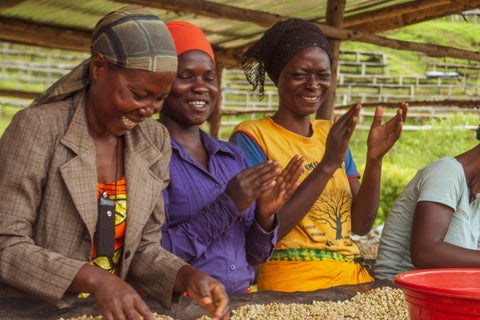 femmes de la coopérative Rwinyoni Washing Station au Rwanda séléctionnants les meilleurs cerises de cafés à la main