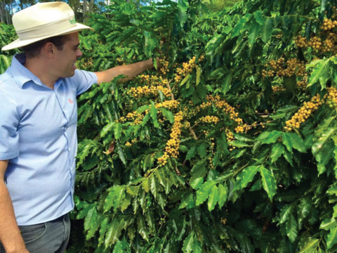 Antonio Wander Garcia cultivant ses cerises de cafés dans la région de vale do sol