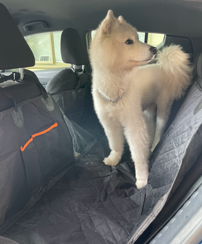 Pet Car Non-Slip Mat