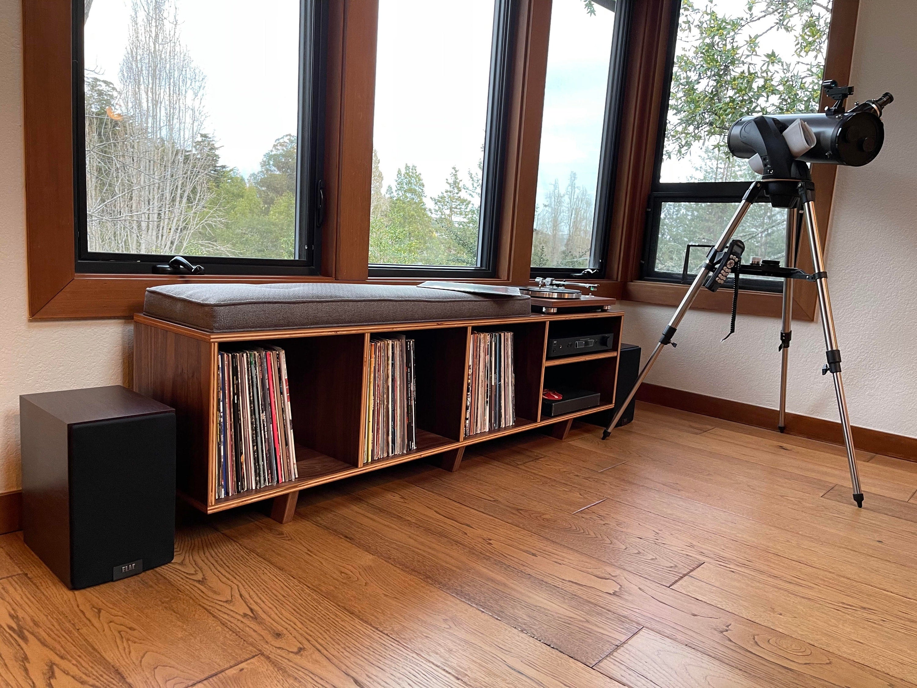 vinyl lp storage bench