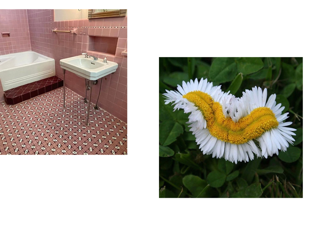 Mutant daisy and vintage bathrooms as inspiration