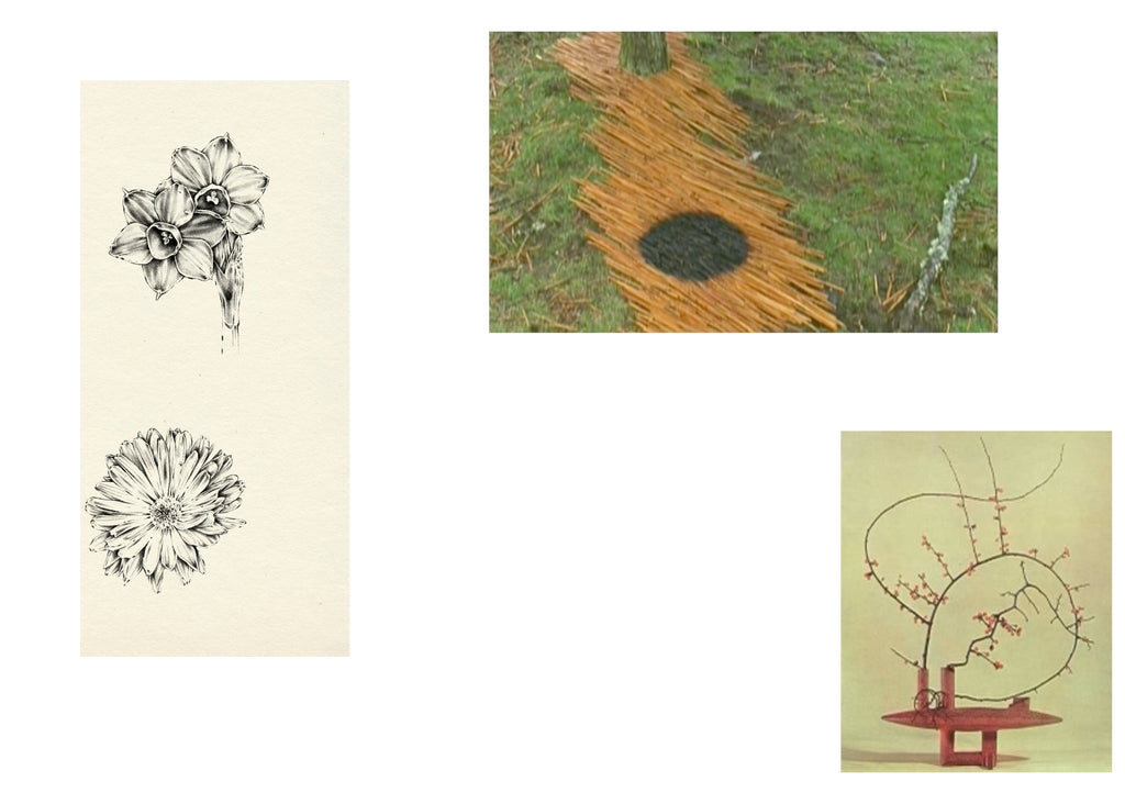 Sketches by Yaz Ward from the garden along side inspiration from Andy Goldsworthy and Norman Sparnon