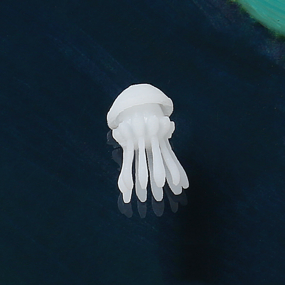 smallest jellyfish in the world